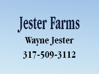 Jester